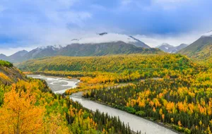 Autumn forest, braided river, and cloud-covered mountains in Alaska